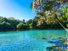 奥兰多魔术内部会议纪要流出——赛后手感冰凉；社区盾使命明确；临场指挥获称赞的简单介绍-爱游戏彩票