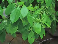 包含8油&聩的词条 包含8油&聩的词条