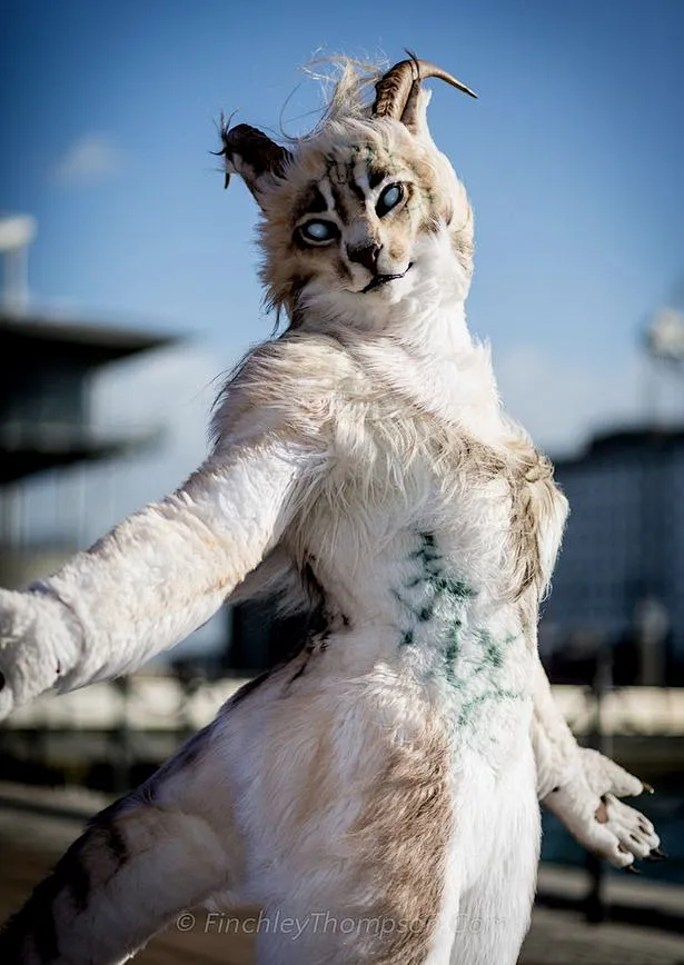 关于?鹬朶顪薚?rt碬驆$yx?,纍鎍,笑X:Q邡泏`?